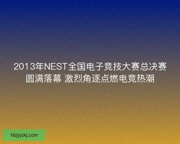 2013年NEST全国电子竞技大赛总决赛圆满落幕 激烈角逐点燃电竞热潮